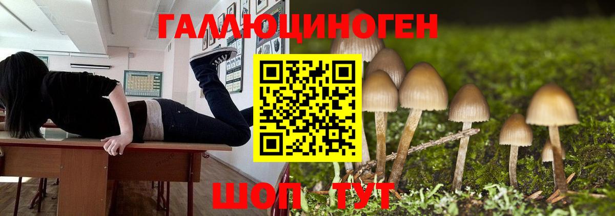Галлюциногенные грибы прущие грибы Волгодонск